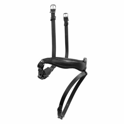 Antarès Precision Dressage Bridle