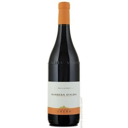 Barbera d'Alba Bricco dei Merli Cogno 2013