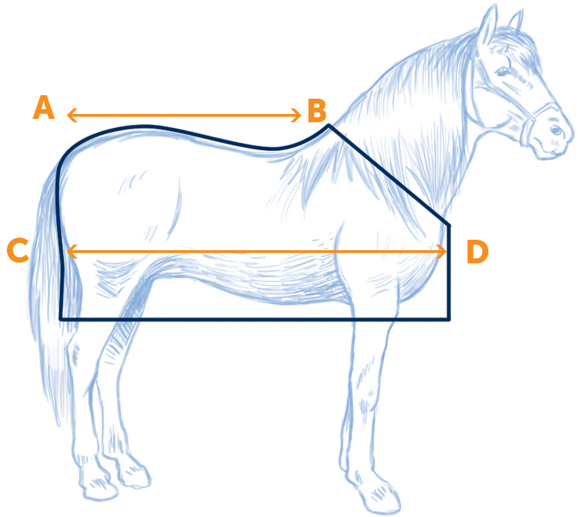 Horse Winter Blanket Size Chart