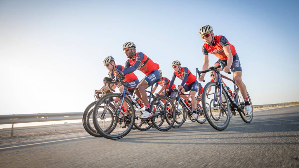 What type of road bike should I buy?