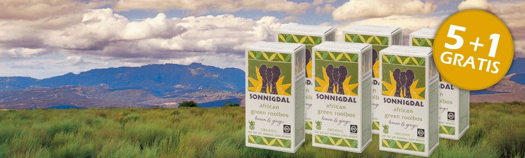 5+1 Zomeractie Green Rooibos