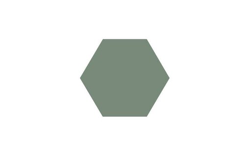 Winckelmans Hexagon Tegel Lichtgroen (0.5Må_) Winckelmans Hexagon Tegel Lichtgroen (0.5Må_)