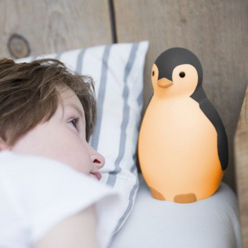 Zazu Pam de Pinguin Grijs 3 in 1 Slaaptrainer Zazu Pam de Pinguin Grijs 3 in 1 Slaaptrainer