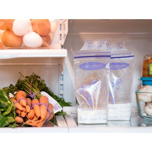 Lansinoh Bewaarzakjes voor borstvoeding - 50 stuks Lansinoh Bewaarzakjes voor borstvoeding - 50 stuks