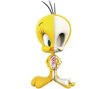 Tweety (XXRAY) by Jason Freeny Tweety (XXRAY) by Jason Freeny