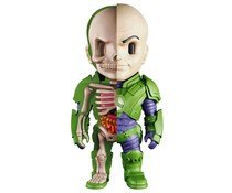 Lex Luthor (XXRAY) by Jason Freeny Lex Luthor (XXRAY) by Jason Freeny