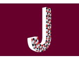 Cristallo Design Stoer, Letter J