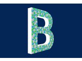 Cristallo Design Fris, Letter B