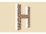 Cristallo Design Warm, Letter H