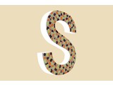 Cristallo Design Warm, Letter S