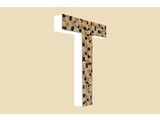 Cristallo Design Warm, Letter T