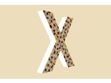 Cristallo Design Warm, Letter X