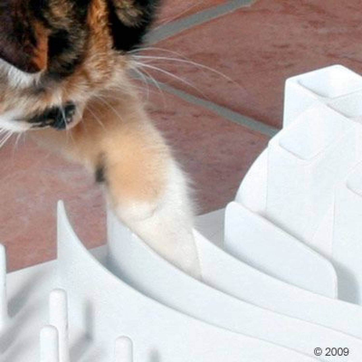 Trixie Cat Activity Fun Board Catcetera