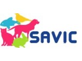 Savic