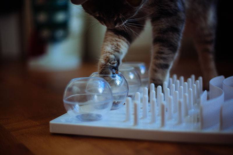 Trixie Cat Activity Fun Board Catcetera