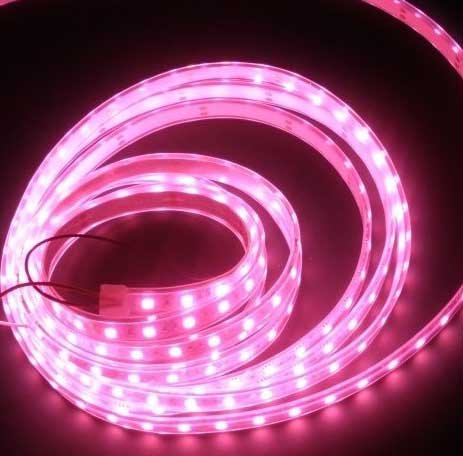 LED Strip Flex Waterdicht Roze IP65 per 50cm - BuyLEDStrip.com LED Strip Flex Waterdicht Roze IP65 per 50cm - BuyLEDStrip.com