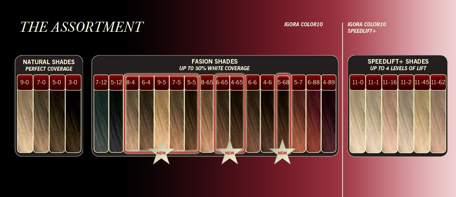 3. Schwarzkopf Professional Igora Royal Permanent Hair Color - wide 6