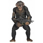 Dawn of the Planet of the Apes
