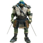 Teenage Mutant Ninja Turtles