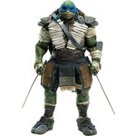 Teenage Mutant Ninja Turtles