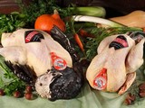 Thanksgiving turkey/kalkoen