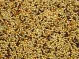 Slaats Volièrezaad (20 kg)