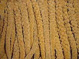 Franse Trosgierst Geel (1 kg)