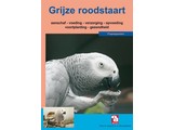 De grijze roodstaart papegaai