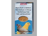 Power and food for raising canaries