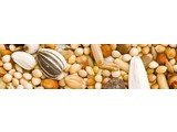 Teurlings 226 - Parakeet Euro-mixture (25 kg)