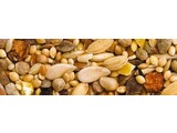 Teurlings 228 - Large Parakeet Euro-Top (20 kg)