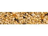 Teurlings 234 - Tropical Euro-Top (20 kg)