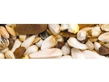 Teurlings EX - Parrot Exquisite mixture (15 kg)