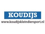 Koudijs