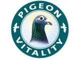 Pigeon Vitality