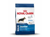 Royal Canin Maxi Junior