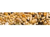 Teurlings 225 - Agapornide Standard (2,5 kg)