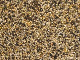 Teurlings 244 - Weed Seed (20 kg)