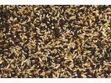 Teurlings 213 - Canary Euro-mixture