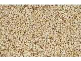 Saffloorpitten (1 kg)