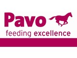 Pavo