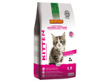 Biofood NCF Kitten