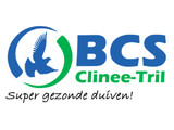 BCS