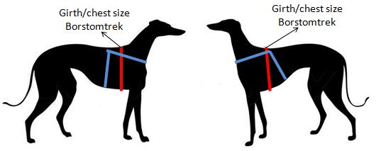 best harnesses for greyhounds