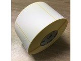 Zebra 880746-101 DT label 102x102mm