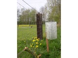 Kleefval