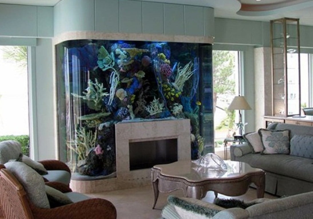 dream aquarium fireplace