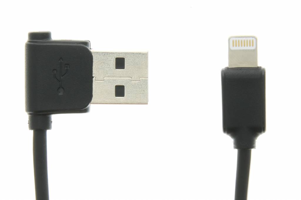 Image of Junzi Lightning naar USB-kabel 1 meter - Zwart