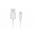 Accezz MFI Certified Lightning naar USB-kabel 2 meter - Wit Accezz MFI Certified Lightning naar USB-kabel 2 meter - Wit