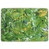 Planten design hardshell voor de MacBook Pro Retina 13.3 inch (2013-2015) Planten design hardshell voor de MacBook Pro Retina 13.3 inch (2013-2015)